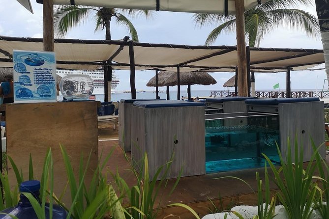 Fish Spa and Beach Break, Swimming Pool, Lounge Chairs, Umbrellas, Beach Area - Viator Reviews