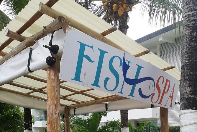 Fish Spa and Beach Break, Swimming Pool, Lounge Chairs, Umbrellas, Beach Area - The Sum Up