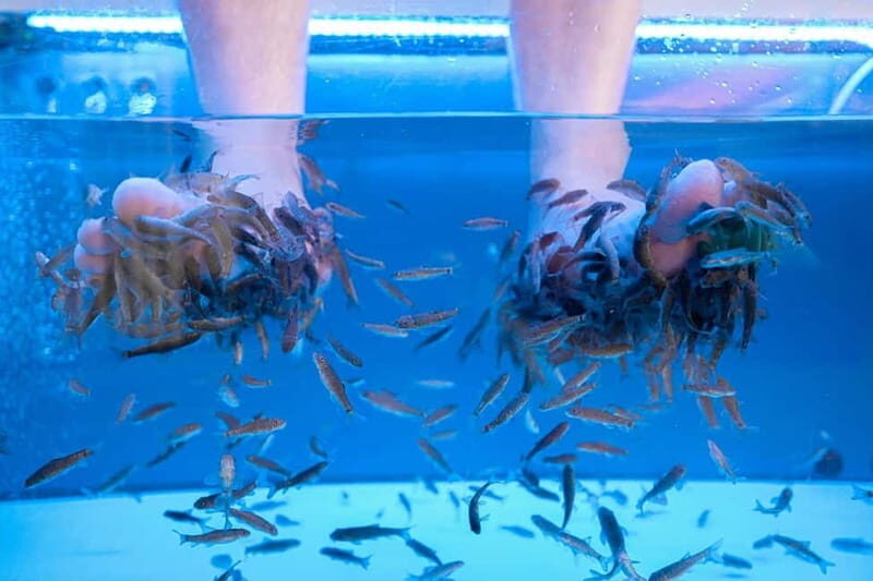 Fish Spa Experience Playa Fañabe - What is the Fish Spa Experience in Playa Fañabe?