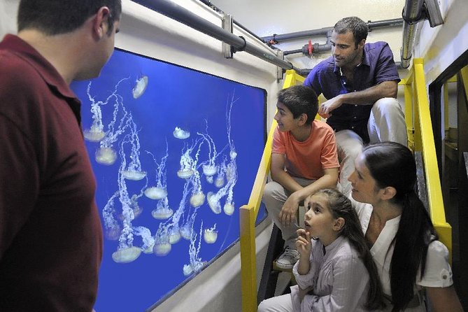 Fish Tales Lost Chambers Tour - Highlights of the Lost Chambers Aquarium