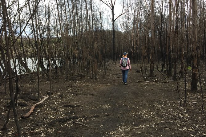 Fishermans Paradise Eco-walk - General Information