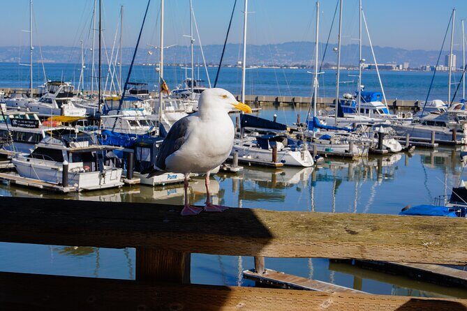 Fishermans Wharf & Pier 39 Food Tour - Includes Full Meal, 3 hrs - Final Thoughts