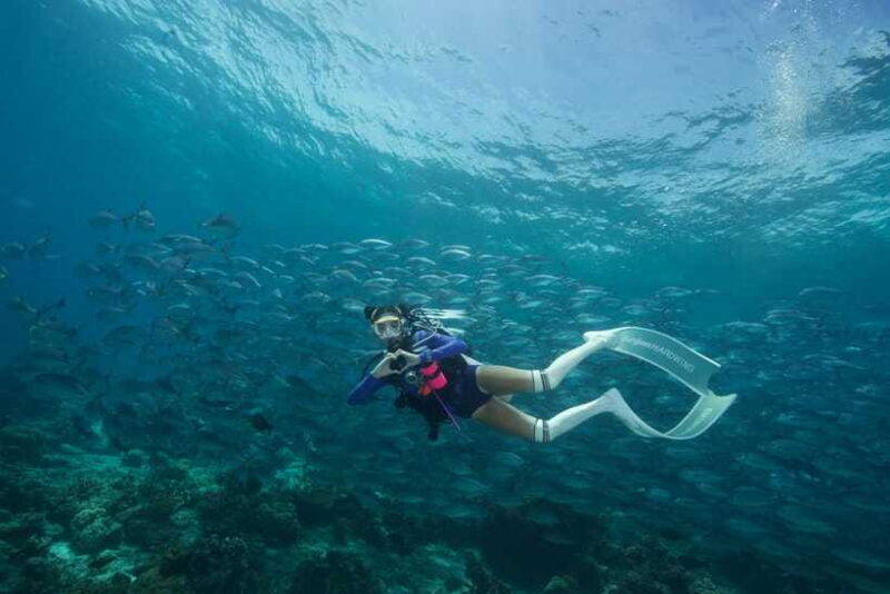 Fisheye Divers: Advanced Open Water Course - The Value of the Course