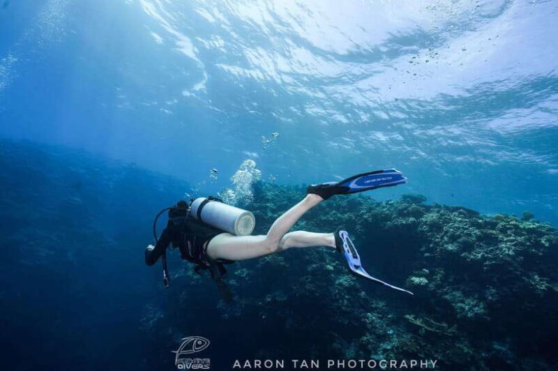 Fisheye Divers: Discover Scuba Diving - Good To Know