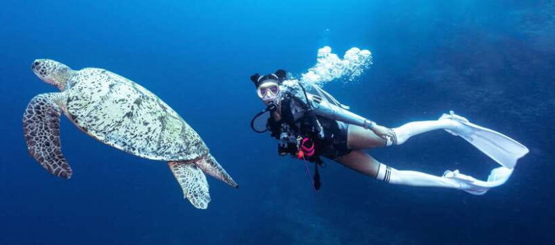Fisheye Divers: Discover Scuba Diving - What’s Included and What’s Not