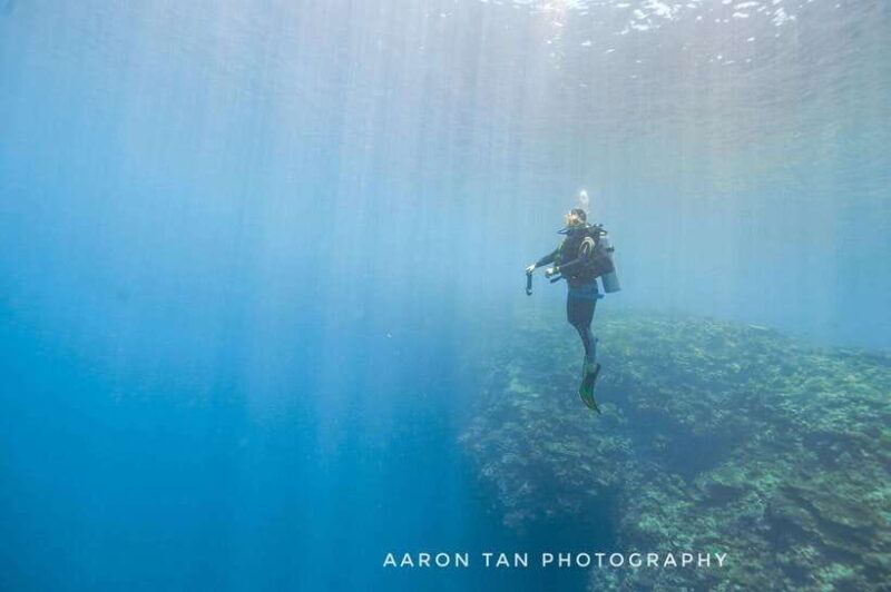 Fisheye Divers: PADI Open Water Course - Fisheye Divers: PADI Open Water Course – A Complete Dive into the Underwater World