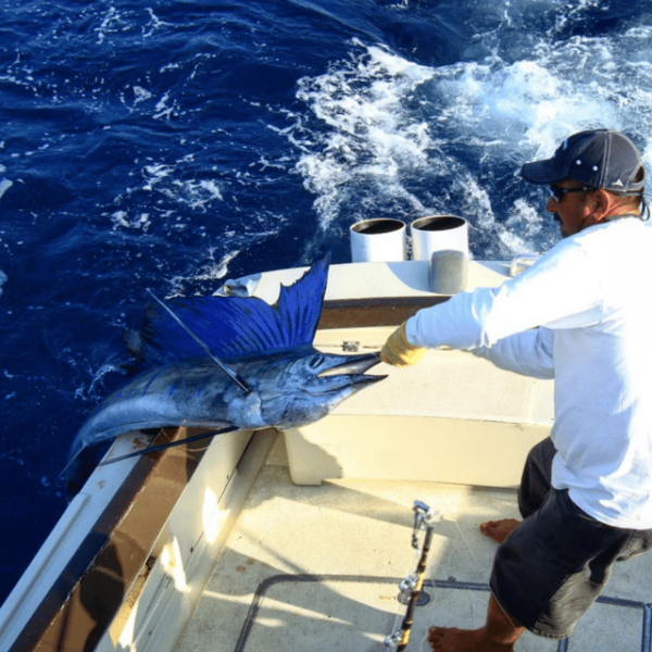 Fishing and Snorkeling. - Meeting Point