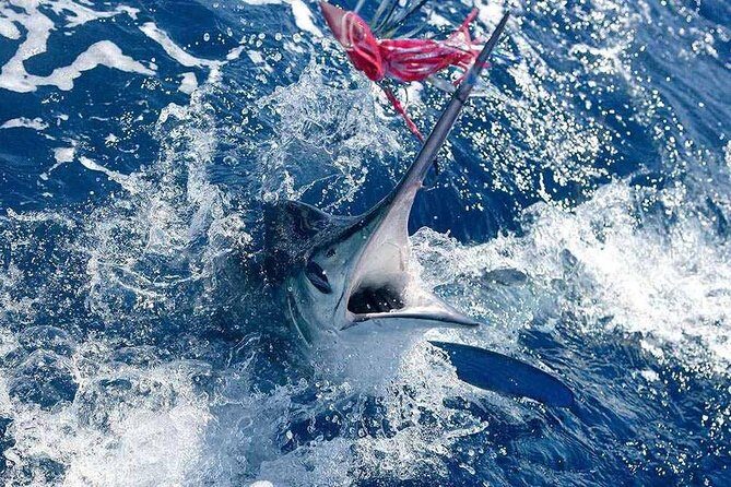 Fishing by Speedboat - Summary: Who Should Consider This Tour?