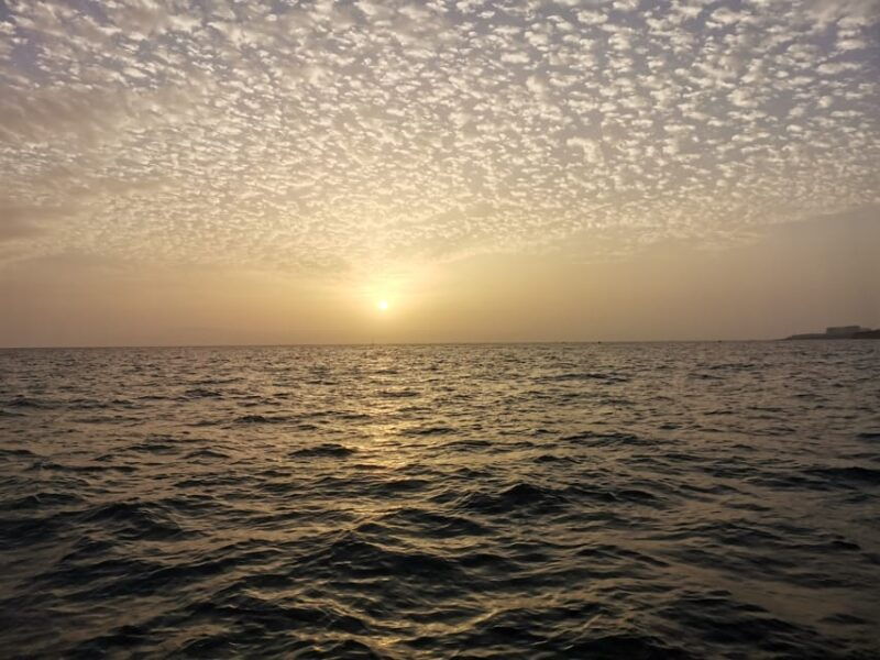 Fishing Charter 4h - Good To Know