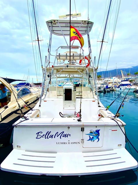 Fishing Charter 4h - Experience Highlights