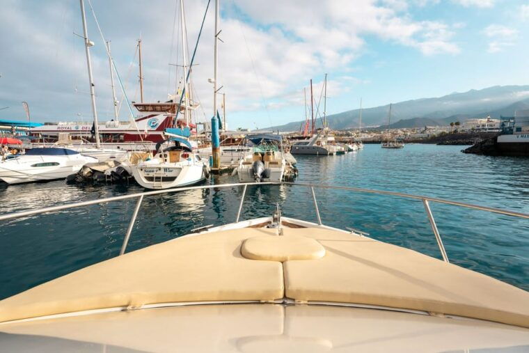 Fishing Charter 4h - Inclusions