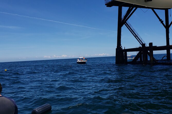 Fishing Charter in Virginia Beach - Pricing and Booking Details