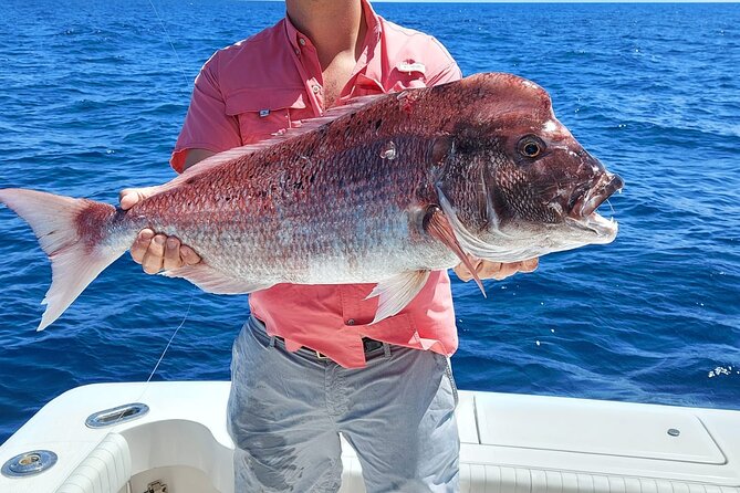 Fishing Day in Private Charter From Puerto Colon - Pricing and Availability