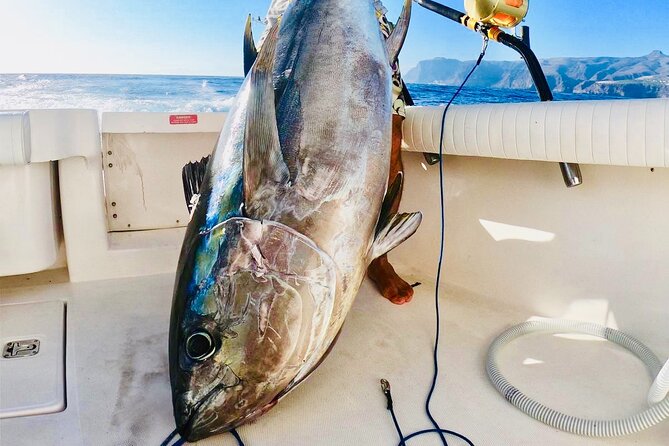 Fishing Day in Private Charter From Puerto Colon - Additional Information