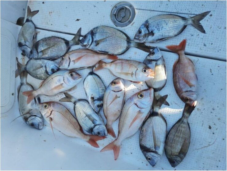 FISHING DEPARTURE BY PRIVATE BOAT - Experience Inclusions