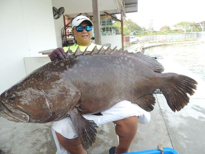 Fishing Experience at LS Fishing Pond Banting - Pond 1: a more varied catch-and-release session