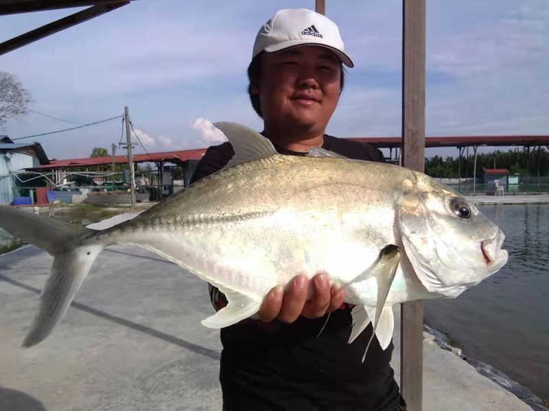 Fishing Experience at LS Fishing Pond Banting - Pond 2: a real test when the big fish take