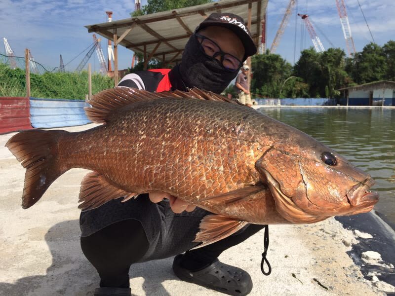 Fishing Experience at LS Fishing Pond Banting - Prawn fishing: an easy pace with a pay-by-weight catch