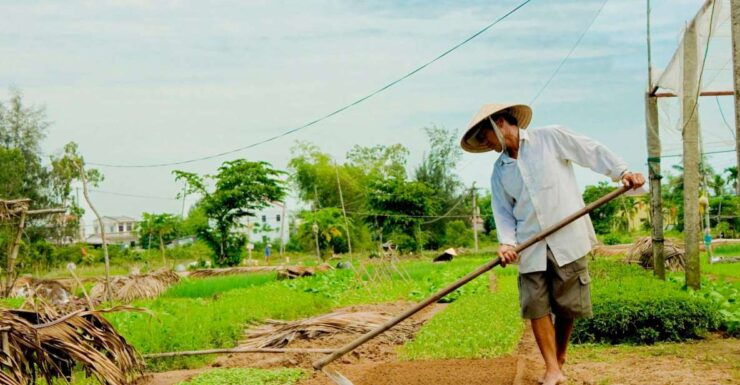 Fishing Experience, Basket Riding and Cooking Class - Riding in Baskets: Exploring Local Countryside and Culture