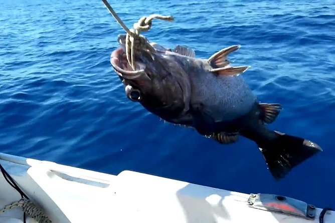 Fishing Experience Side - Weather and Minimum Travelers