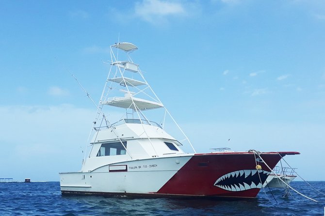 Fishing Fisherman From Punta Cana - Fishing Experience in Tropical Waters
