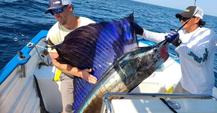 Fishing for Marlin in Mazatlan - Good To Know