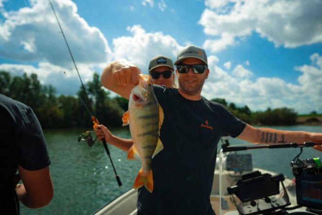 Fishing Guide - All Over Netherlands - Target Species and Techniques
