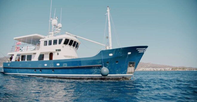 Fishing & Sea Tour - Fishing Expedition