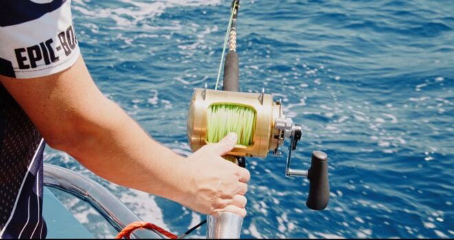 Fishing & Sea Tour - Lively Parties