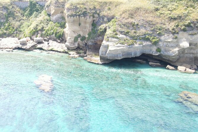 Fishing, Snorkelling & Dolphin Boat Tour - Tour Itinerary