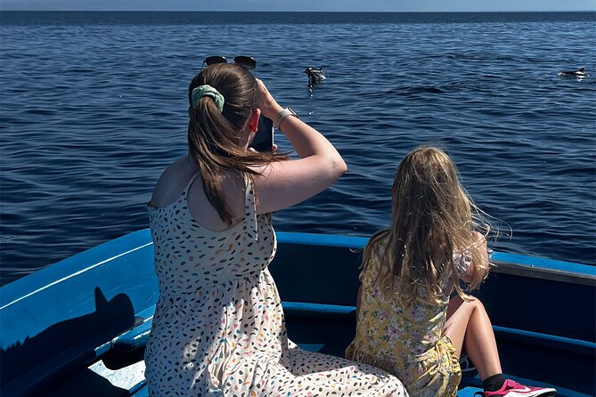 Fishing, Snorkelling & Dolphin Boat Tour - Tour Recommendations
