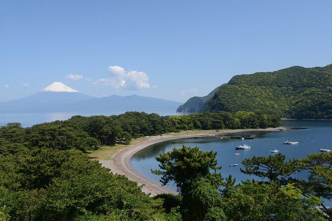 Fishing Tour Experience in Heda Numazu Shizuoka - Who Will Love This Experience?