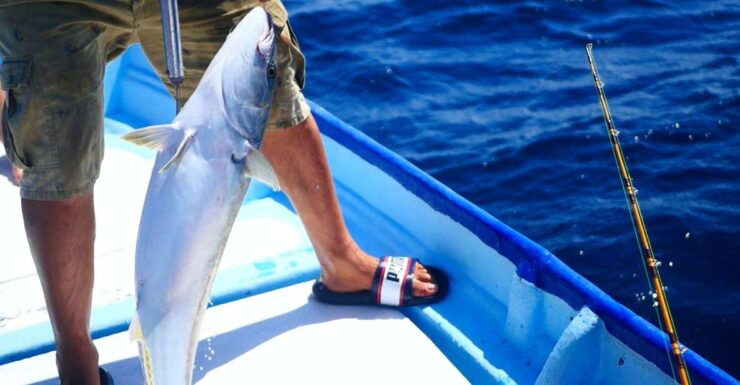 Fishing Tour in Mirissa - Activity Details