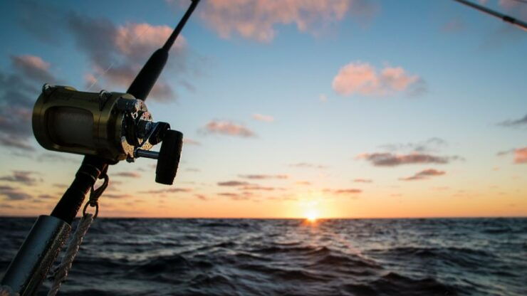 Fishing Tour in Mirissa - Experience Highlights