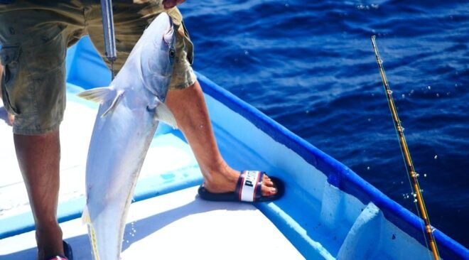 Fishing Tour in Mirissa - Activity Provider Information