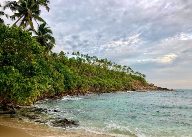 Fishing Tour in Mirissa - Additional Information