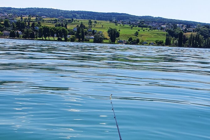 Fishing Tour With a Fishing Boat at Lake Constance (Untersee) - Fishing Techniques and Tips