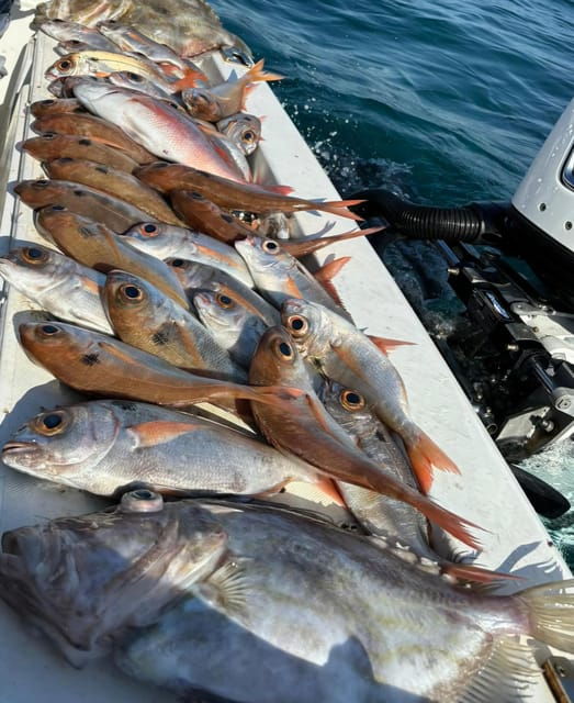 Fishing tour with midwater bolentino or rod technique. - Why This Tour Stands Out