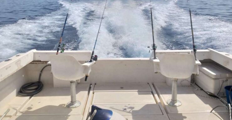 Fishing Trip All Included - Experience Highlights