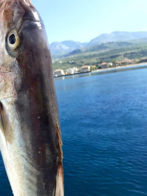 Fishing Trip in Mani - Highlights