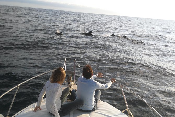 Fishing Trip, Tenerife Sea Passion - Inclusions