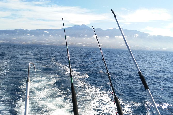 Fishing Trip, Tenerife Sea Passion - Reviews