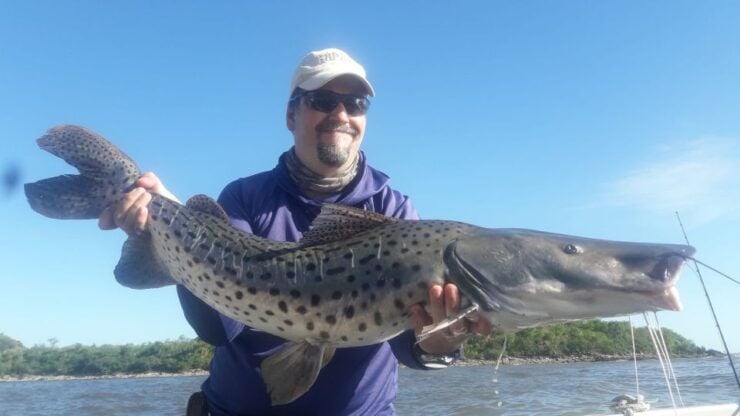 Fishing Trips in Argentina. Buenos Aires - Booking and Reservation Details