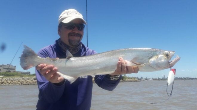Fishing Trips in Argentina. Buenos Aires - Logistics and Itinerary Overview