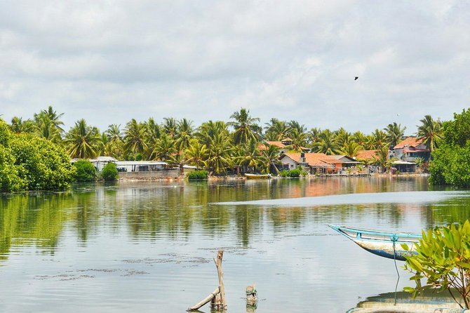 Fishing Village & Mangrove Tour Experince at Negombo (Starting From Colombo) - Additional Information