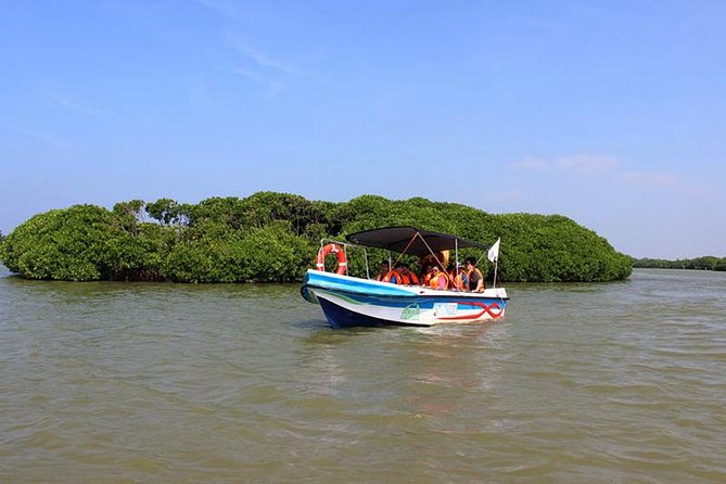Fishing Village & Mangrove Tour Experince at Negombo (Starting From Colombo) - Exclusions