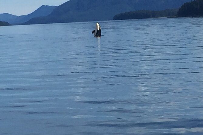 Fishing Whale Watching Hoonah Alaska - Good To Know
