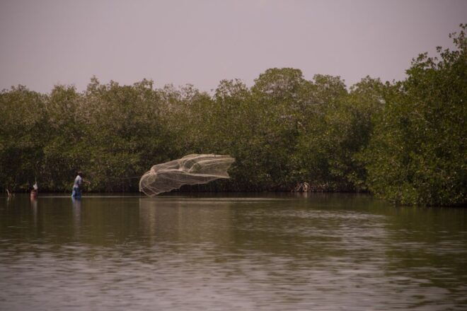 Fishing With Locals - Culinary Experience Details