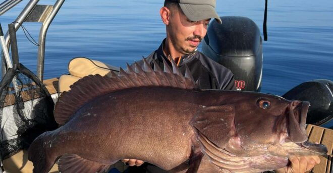 FishingTrips & BoatTrips - Targeted Fish Species