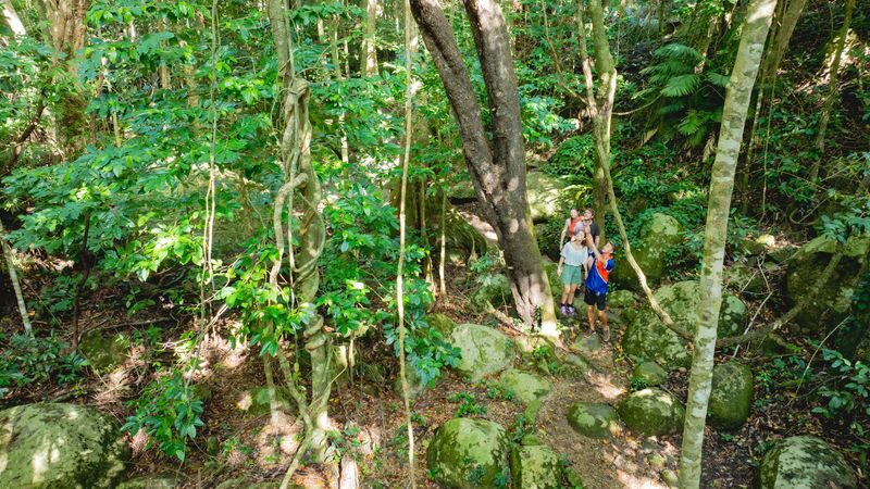 Fitzroy Island Day Trip from Cairns - Lunch is an add-on, not a given